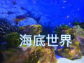 海洋世界视频,海洋世界视频深度解析